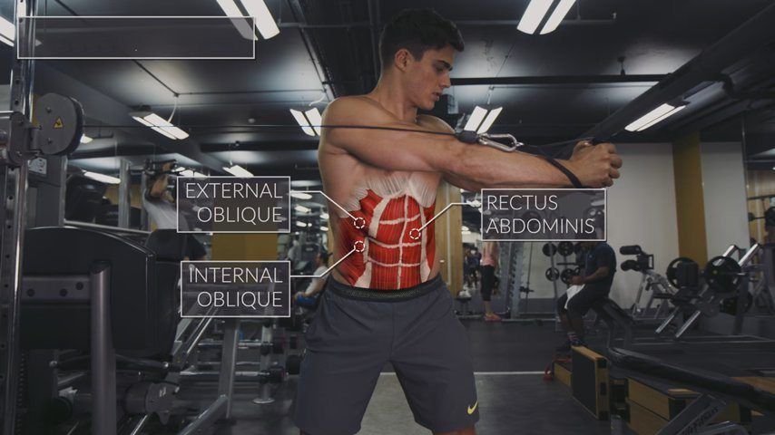 ABDOMEN ANATOMIA